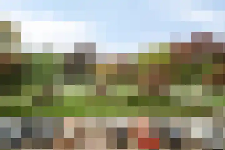 Merendonk 43 Leiden thumbnail 33
