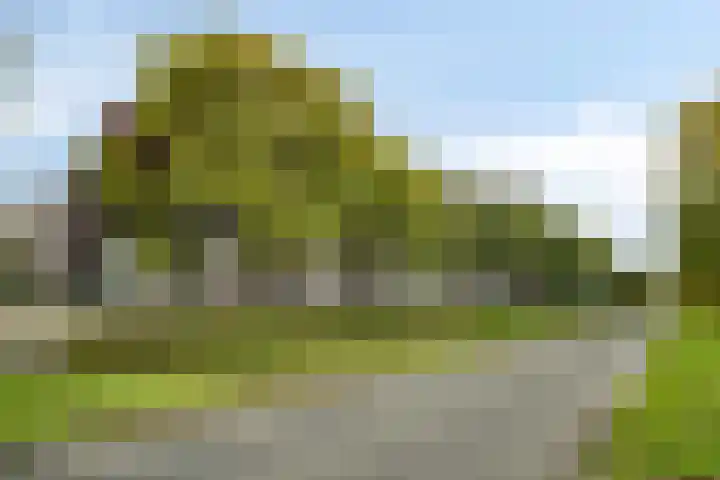Merendonk 43 Leiden thumbnail 34