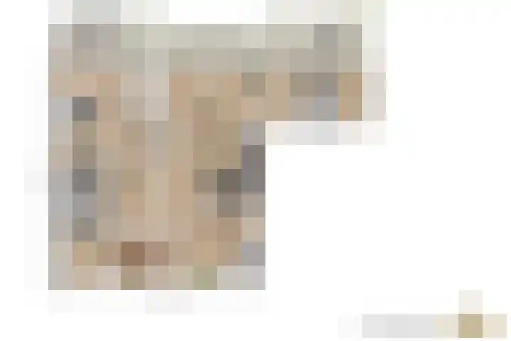 Merendonk 43 Leiden thumbnail 37