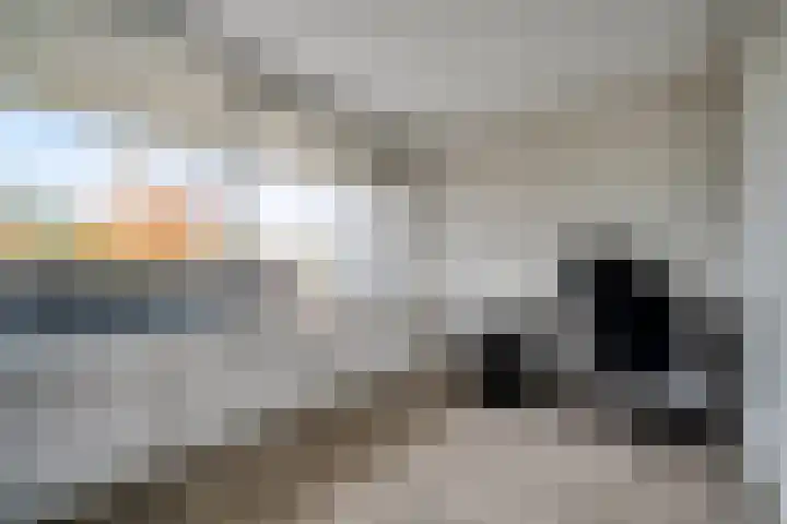 Merendonk 43 Leiden thumbnail 6