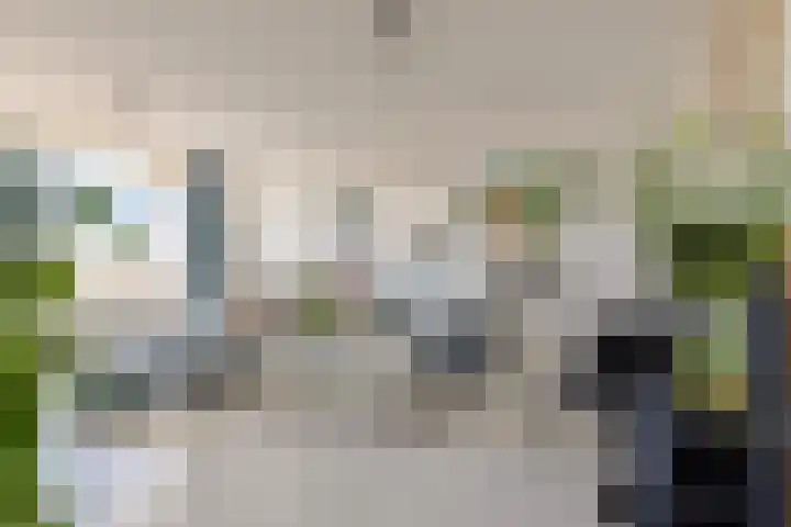 Merendonk 94 Leiden thumbnail 16