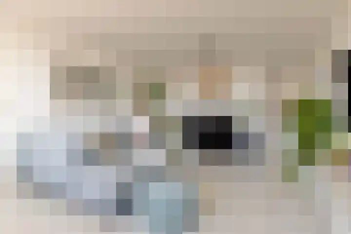 Merendonk 94 Leiden thumbnail 17