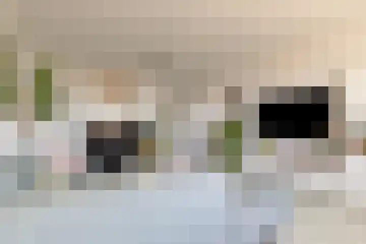 Merendonk 94 Leiden thumbnail 18
