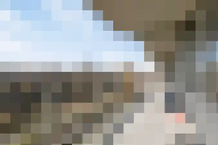Merendonk 94 Leiden thumbnail 36