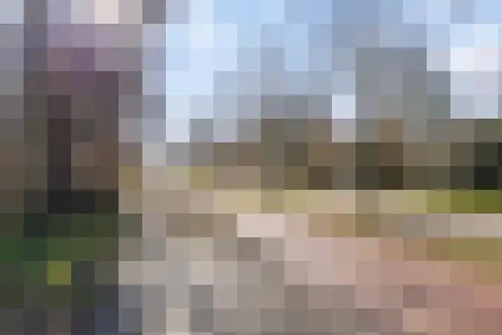 Merendonk 94 Leiden thumbnail 41