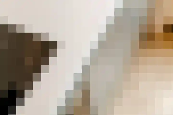 Merenriet 6 Maurik thumbnail 24