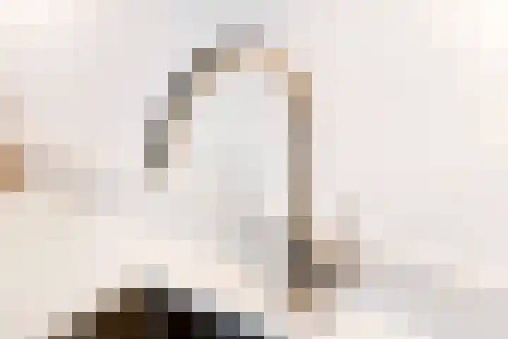 Merenriet 6 Maurik thumbnail 25