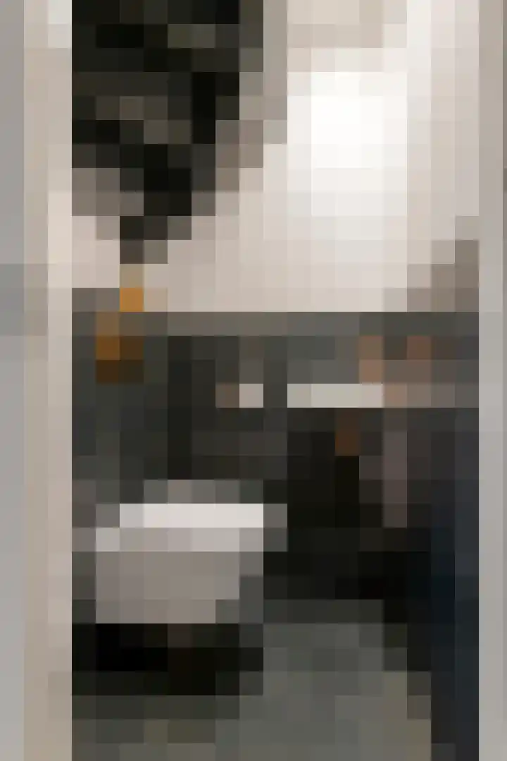 Merenriet 6 Maurik thumbnail 29