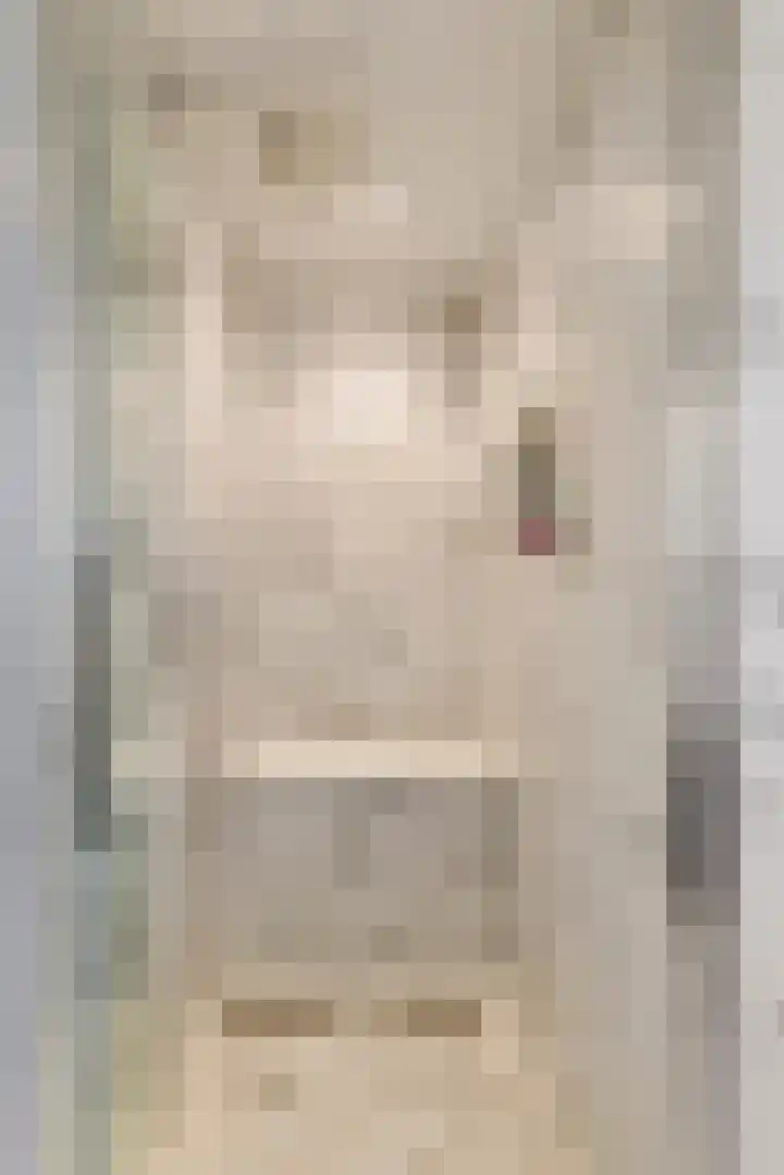 Merenriet 6 Maurik thumbnail 36