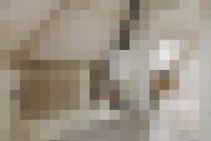 Merenriet 6 Maurik thumbnail 43