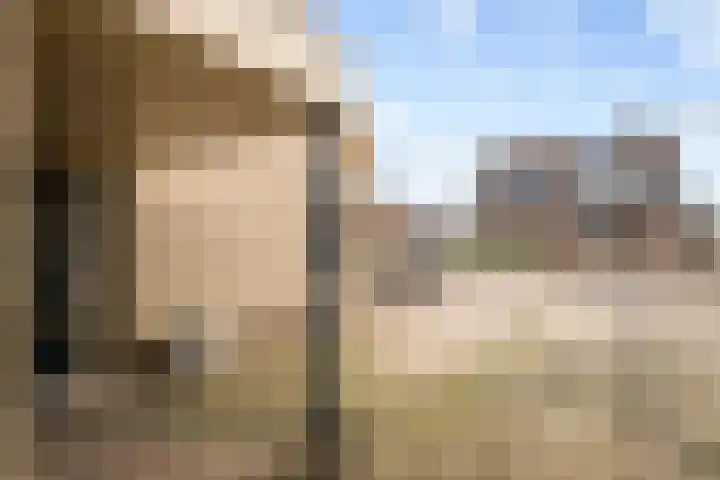 Merenriet 6 Maurik thumbnail 44