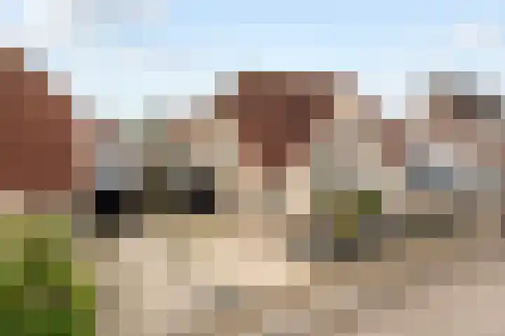 Merenriet 6 Maurik thumbnail 46