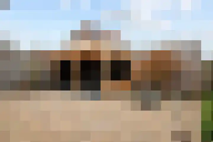 Merenriet 6 Maurik thumbnail 5