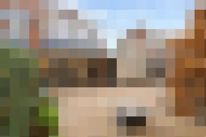 Merenriet 6 Maurik thumbnail 6