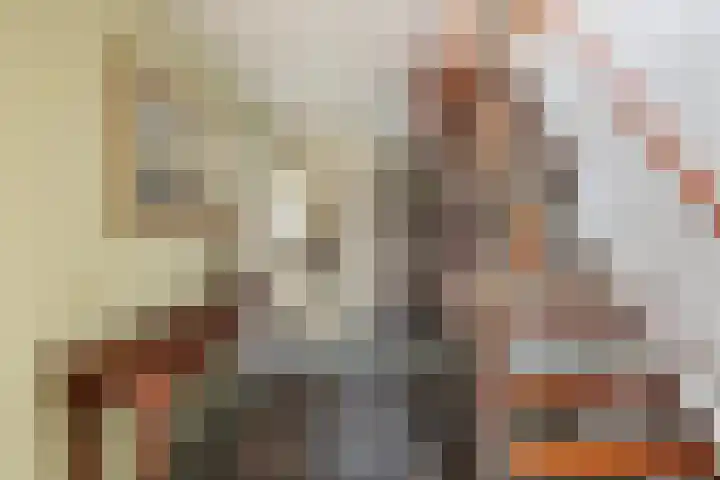 Meresteijn 1 Maasland thumbnail 12