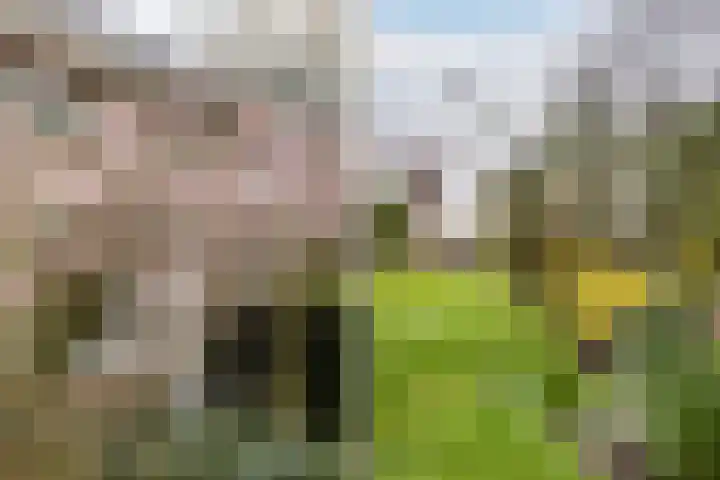 Meresteijn 1 Maasland thumbnail 22