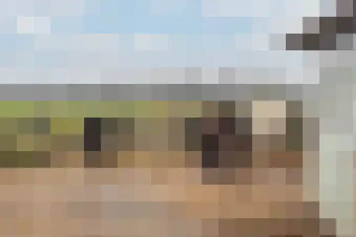 Meresteijn 1 Maasland thumbnail 26