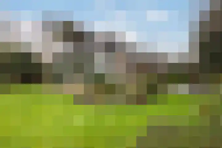Meresteijn 1 Maasland thumbnail 27