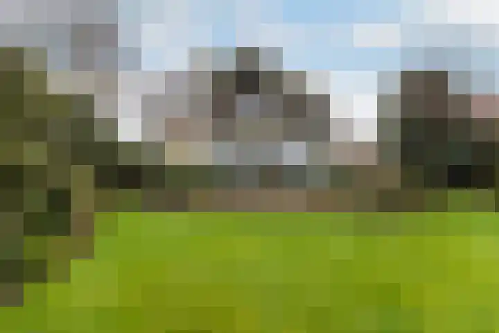 Meresteijn 1 Maasland thumbnail 29