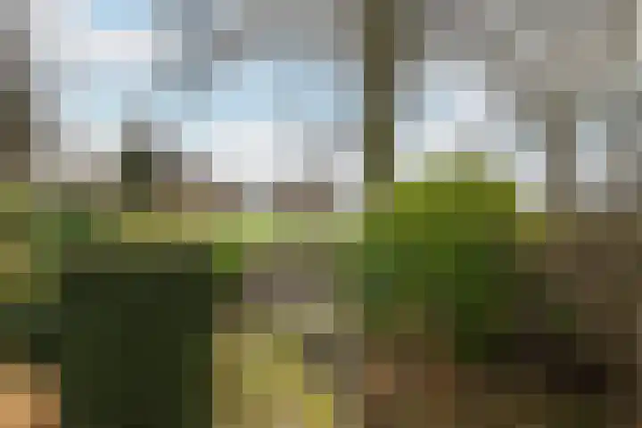 Meresteijn 1 Maasland thumbnail 31