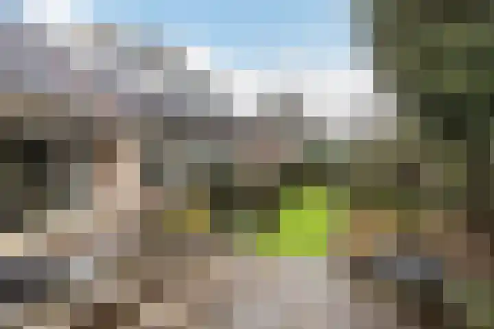 Meresteijn 1 Maasland thumbnail 32