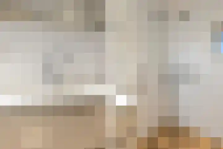 Meresteijn 1 Maasland thumbnail 50