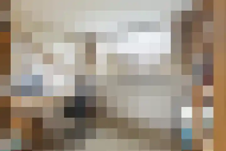 Meresteijn 1 Maasland thumbnail 56