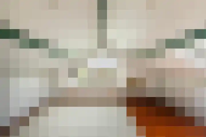 Meresteijn 1 Maasland thumbnail 59