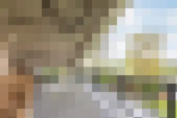 Meresteijn 1 Maasland thumbnail 64