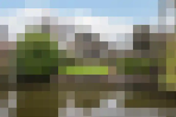 Meresteijn 1 Maasland thumbnail 67