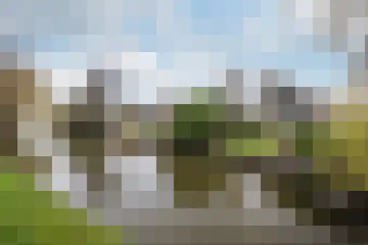 Meresteijn 1 Maasland thumbnail 68