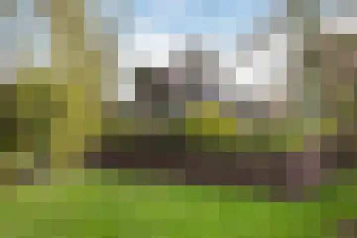 Meresteijn 1 Maasland thumbnail 69