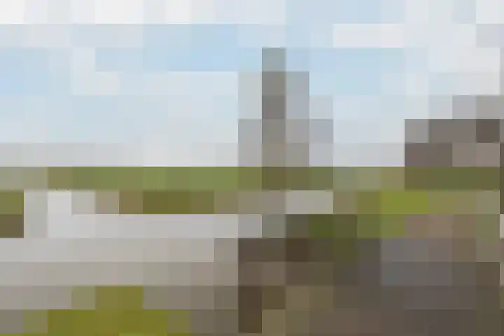 Meresteijn 1 Maasland thumbnail 70