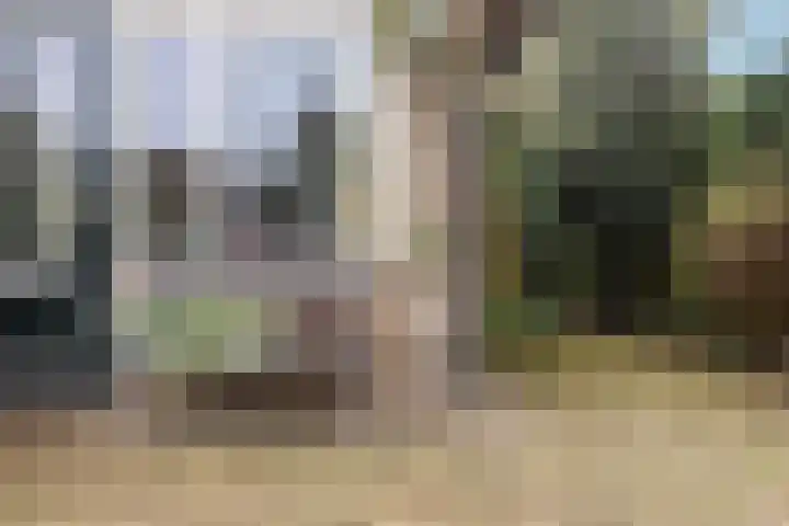 Meresteijn 1 Maasland thumbnail 8