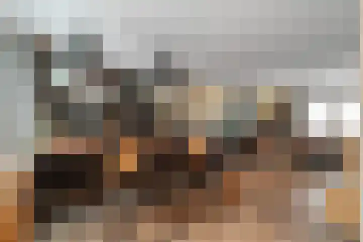 Mering 99 Hippolytushoef thumbnail 15