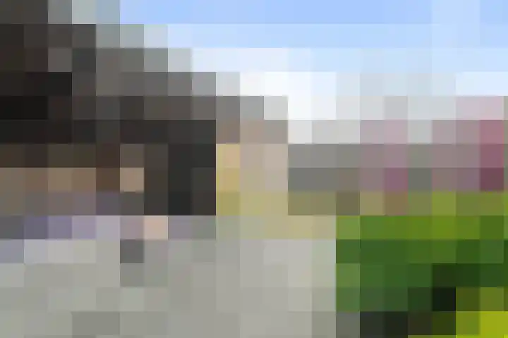 Mering 99 Hippolytushoef thumbnail 16