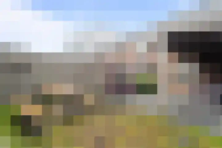 Mering 99 Hippolytushoef thumbnail 19