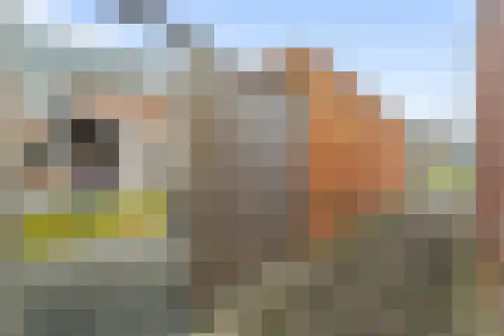 Mering 99 Hippolytushoef thumbnail 21