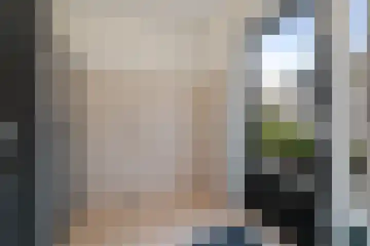 Mering 99 Hippolytushoef thumbnail 22
