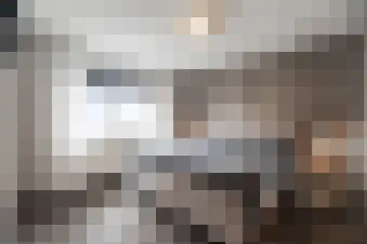 Mering 99 Hippolytushoef thumbnail 23