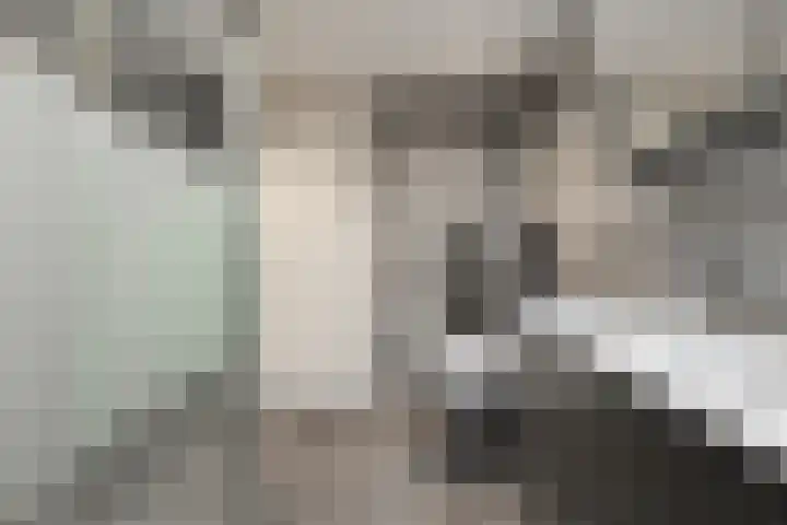 Mering 99 Hippolytushoef thumbnail 27