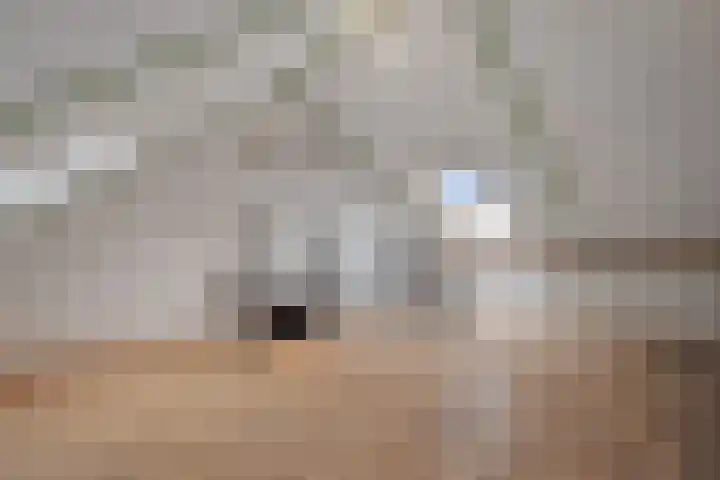 Mering 99 Hippolytushoef thumbnail 32