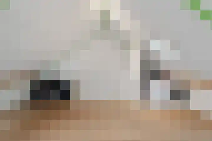 Mering 99 Hippolytushoef thumbnail 33