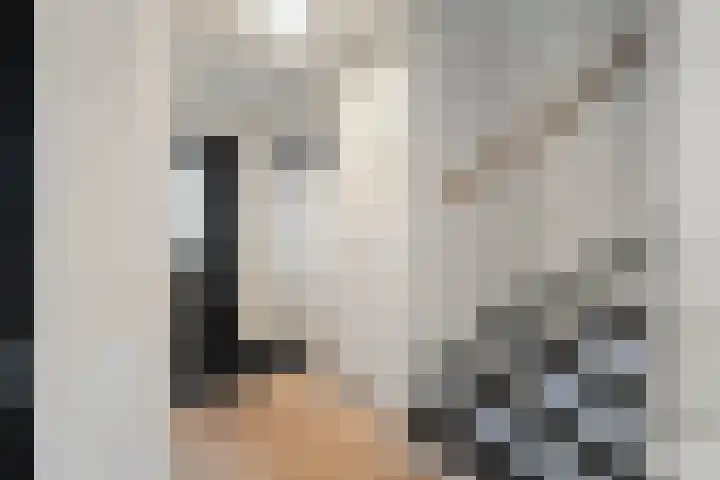 Mering 99 Hippolytushoef thumbnail 4
