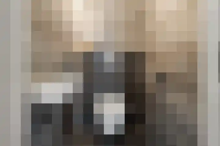 Mering 99 Hippolytushoef thumbnail 5