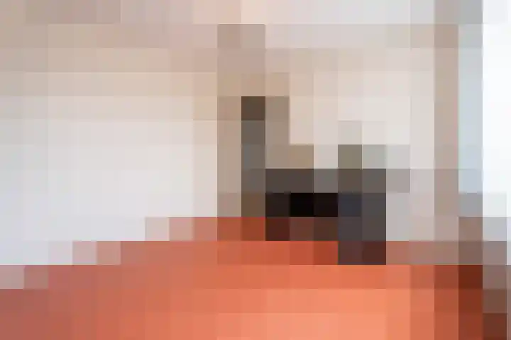 Merksemstraat 23 Breda thumbnail 16