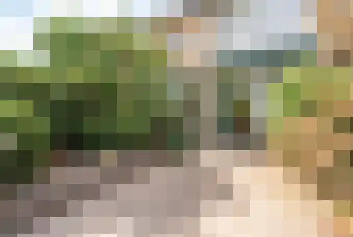 Merksemstraat 23 Breda thumbnail 4
