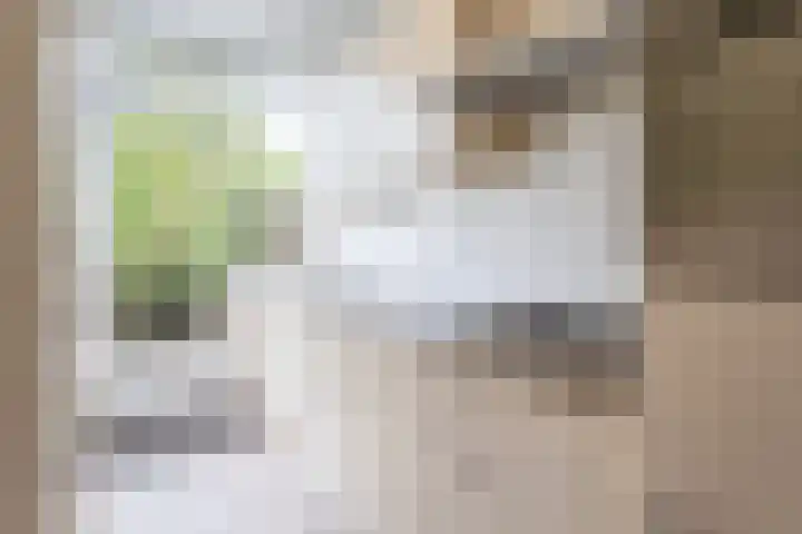Merksemstraat 23 Breda thumbnail 5