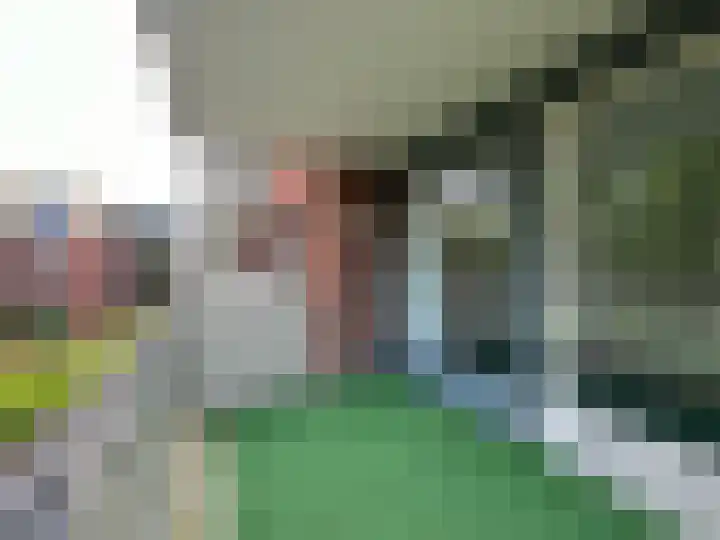 Merlijnstraat 15 Wijchen thumbnail 21