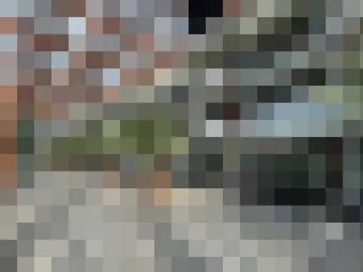 Merlijnstraat 15 Wijchen thumbnail 7